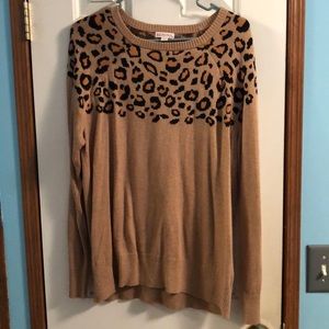 Cheetah print sweater